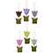6/Set, Springy Tulip Ornaments