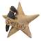 Simplify Star With Crow Ornament   #CS37935