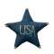 Navy USA Star Ornament w/Jingle Bells #CS37939