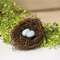 #17913 Angelvine Birdnest With Eggs, 4.5"