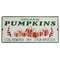 Organic Pumpkins Metal Sign