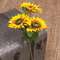 Bright Yellow Sunflower Spray, 25"