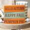 Happy Fall Skinny Mini Block, 3 Asstd. 35543;