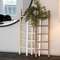 Large Wooden Ladder, 3 Asstd. 35731;