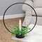 Halo Taper Holder, Large 14499B;