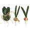3/Set, Lettuce, Radish, Onion Fabric Vegetables