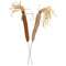 2/Set, Primitive Fabric Carrot Pokes