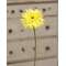 Gerbera Daisy Stem, Lemon Yellow