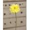 Gerbera Daisy Stem, Lemon Yellow #18120