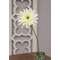 Blooming African Daisy Stem, White #18122