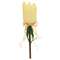 Yellow Stripe Tulip Stake