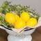 Artificial Lemon Fillers, 5/Set 18143;