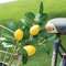 Fresh Picked Lemon Spray 18155;