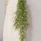 Eden's Gate Hanging Vine FFG3152;
