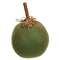 Primitive Mossy Green Pumpkin, 5"