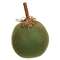 Primitive Mossy Green Pumpkin, 5" #CS38467