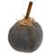 Primitive Mossy Gray Pumpkin, 5" #CS38469