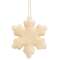 Glitter Snowflake Ornament