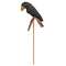 Gingham Crow Pick