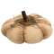 Mossy Natural Pumpkin 5" #CS38663