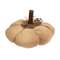 Mossy Natural Pumpkin 4.5"