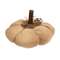 Mossy Natural Pumpkin 4.5" #CS38664