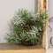 Icy Pine & Moss Bird Nest 18194;
