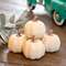 Mossy Top Cream Pumpkins, 5/Set 18219;