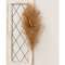 Weeping Pampas Grass Branch, Brown 18224;