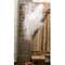 Weeping Pampas Grass Branch, White 18226;