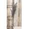 Weeping Pampas Grass Branch, Gray 18277;