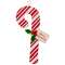 Merry Christmas Candy Cane Hanger