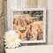 Shaggy Steer Framed Portrait 36238;
