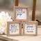 Live, Laugh, Poop  Mini Sign, 3 Asstd. 36373;