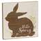 Hello Spring Bunny Silhouette Block Sign