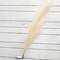 Pampas Grass Spray, 45", Cream  18214;