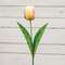 Champagne Tulip Stem, 17.5" 18299;