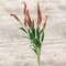 Icker Flower & Leaves Spray, Red 18306;