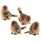 Small Resin Finch - 4 asst.