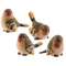 Small Resin Finch - 4 asst. #13083