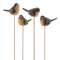 Resin Robin Pick - 4 asst.