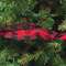 Wired Black & Red Buffalo Check Ribbon, 3" x 9 Yds 14920;