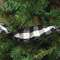 Wired Black & White Buffalo Check Ribbon, 3" x 9 Yds 14921;