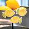 3/Set, Be Happy Lemon Magnets