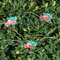 LED Truck Timer Lights, 15 Count G24430;
