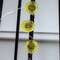 LED Sunflower Timer Lights, 15 Count G97418;