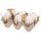 6 Set, Natural Speckled Eggs in Crate