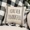 Forever Thankful Striped Natural Pillow 15554;