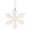 Large Snowflake Ornament #33854