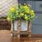 Small Cement Planter in Birch Frame QX19312;